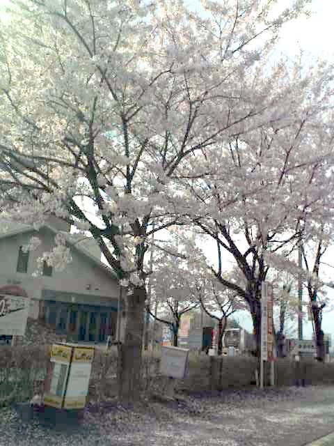 04-25-08_0814.jpg