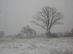 20071119n.jpg