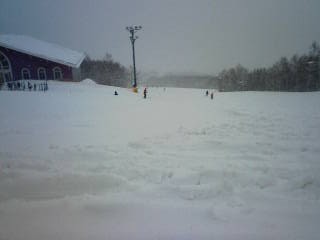 200803011054.jpg