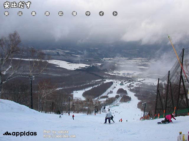 20080318.jpg