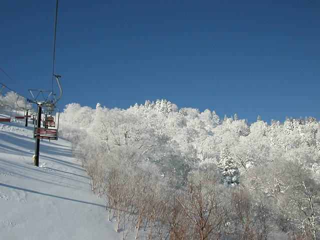 DSCN30741.jpg