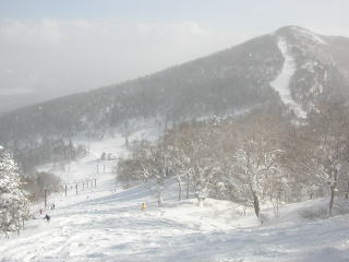 DSCN32681.jpg