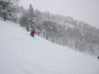 DSCN33091.jpg