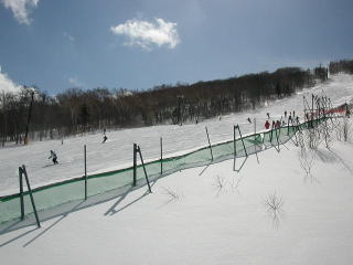 DSCN33411.jpg