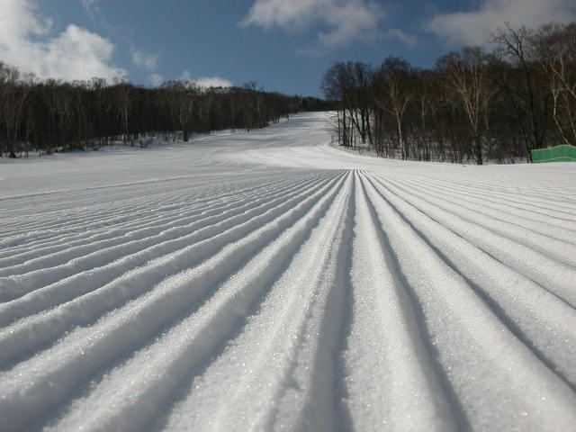 DSCN34891.jpg