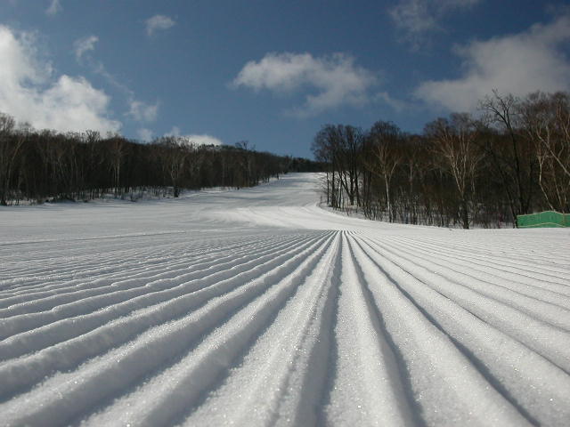 DSCN3490.JPG