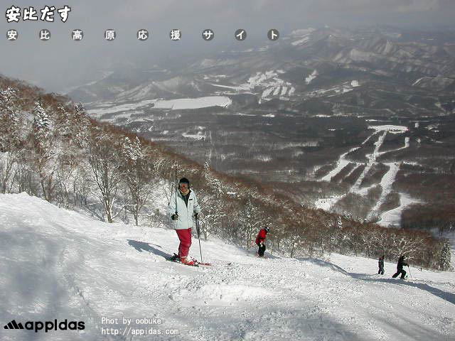 image1.jpg