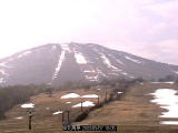 licam03-05-07-101.jpg